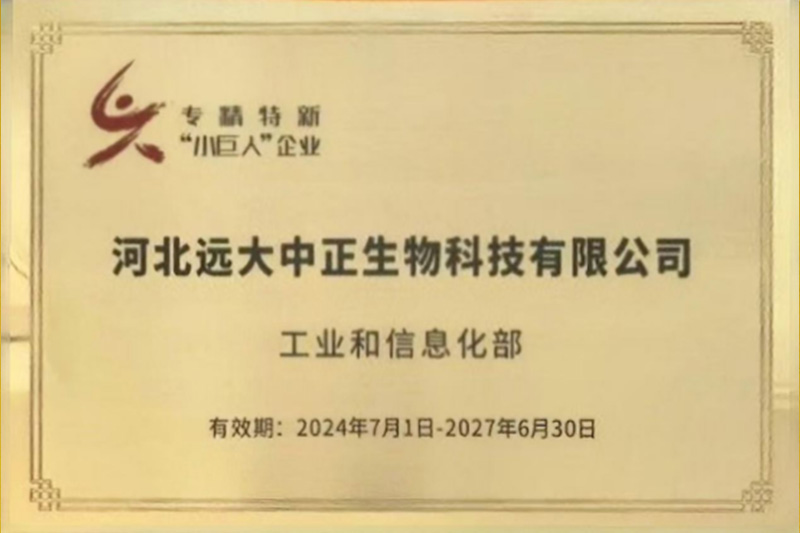 专精特新小巨人企业